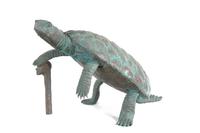 A Bronze Model of a Tortoise Height 11 inches.