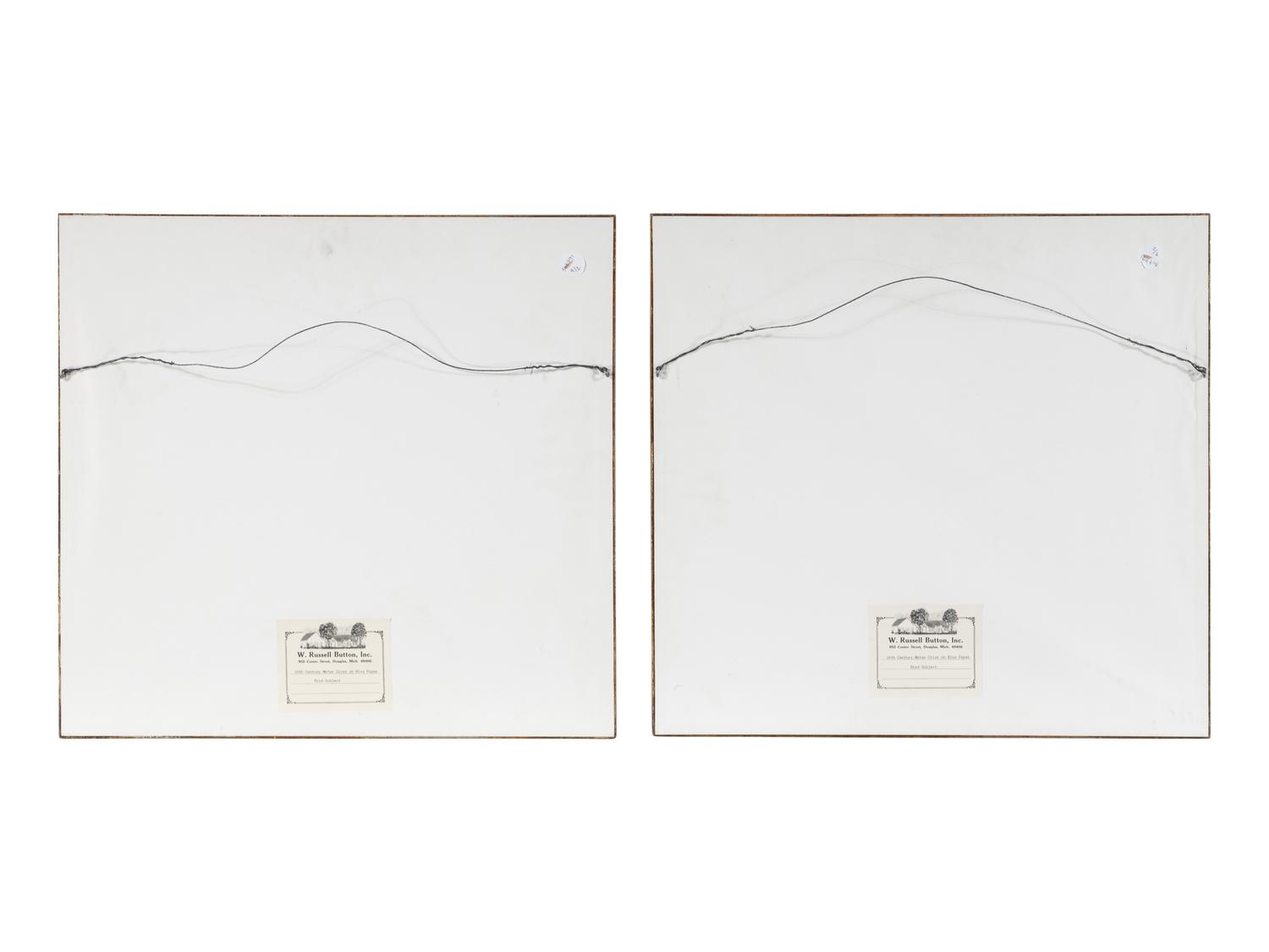 A Pair of Chinese Export Pith Paintings of Birds