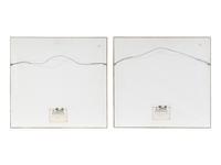 A Pair of Chinese Export Pith Paintings of Birds