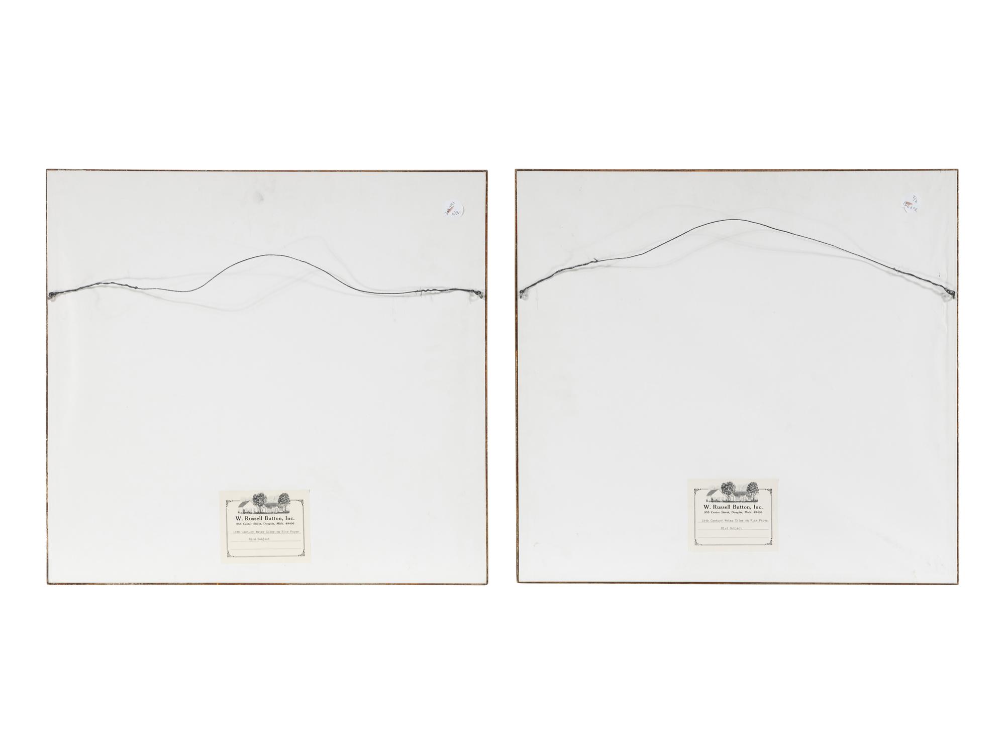 A Pair of Chinese Export Pith Paintings of Birds