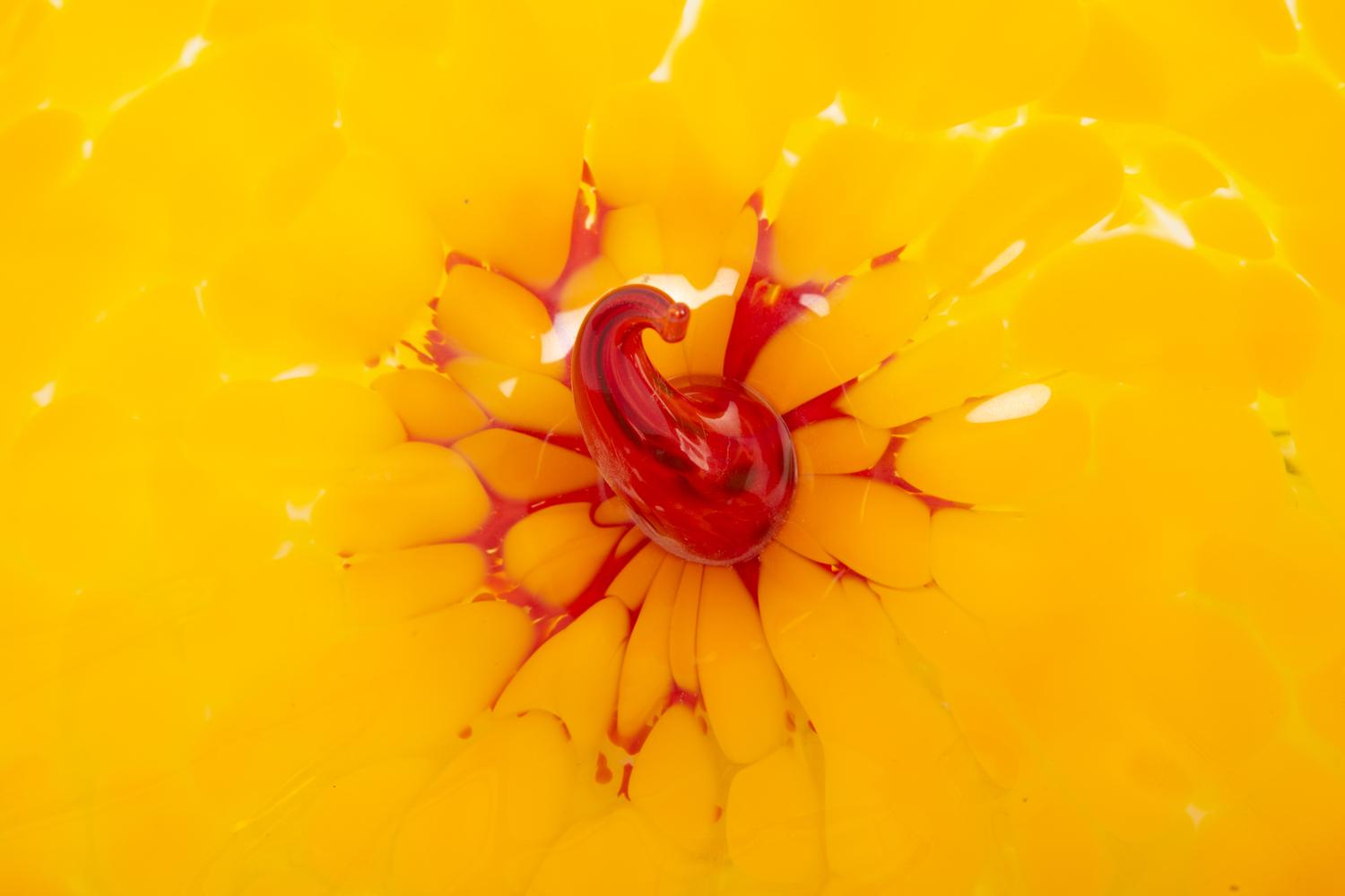 Bel Fiore