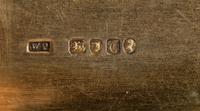 A Victorian Silver and Specimen-Marble Inset Presentation Snuff Box