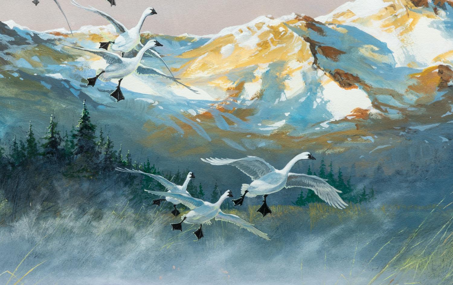 Trumpeter Swans , 2005