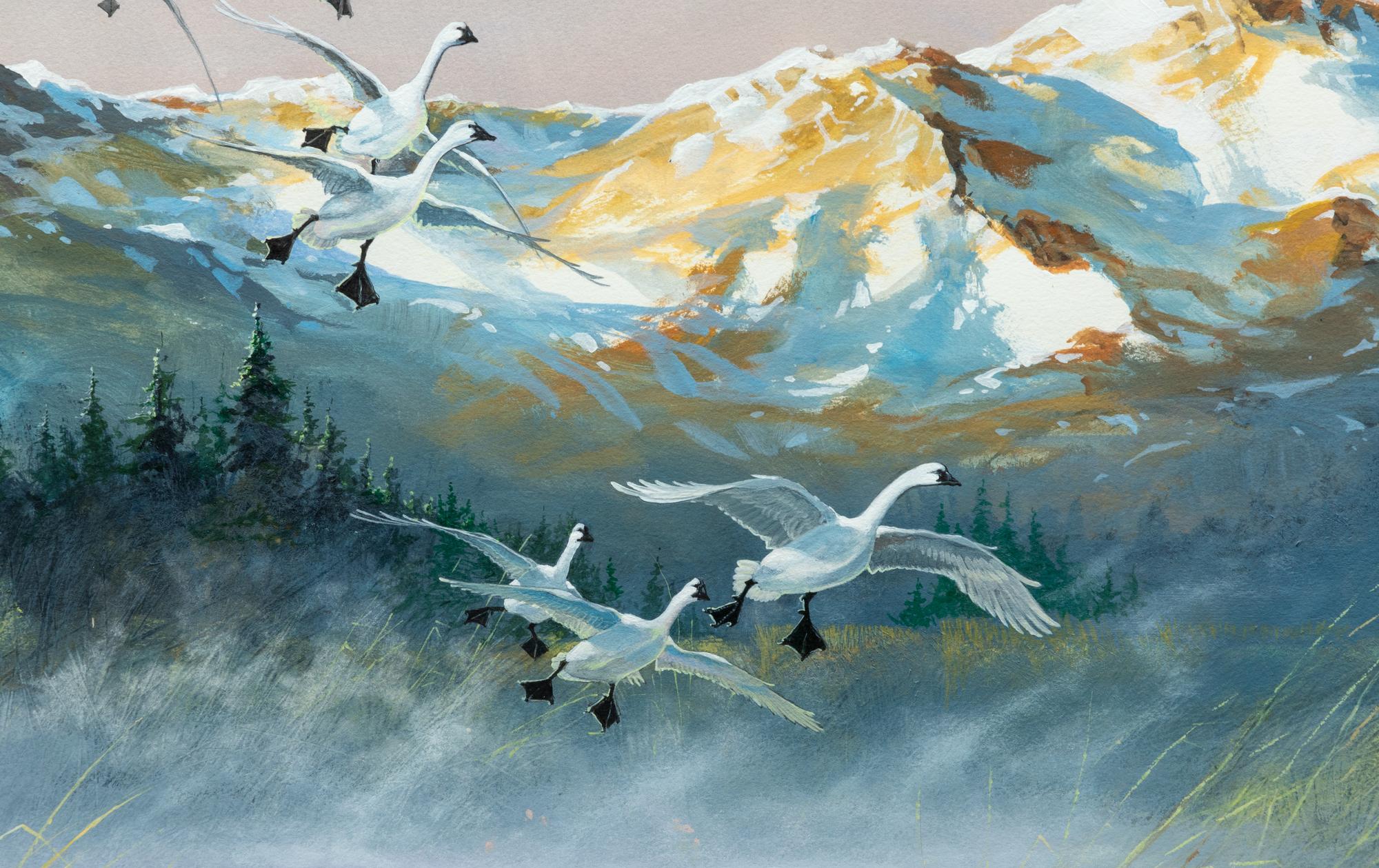 Trumpeter Swans , 2005