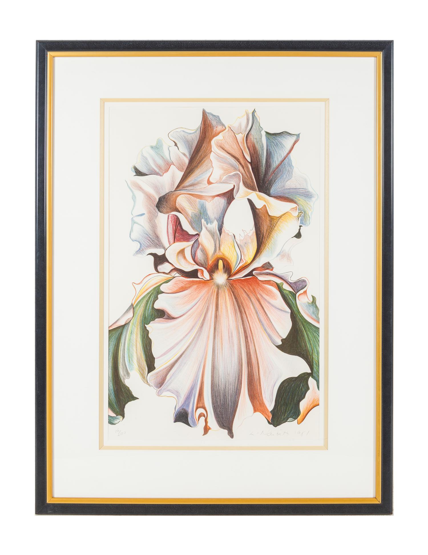 Iris I and Oriental Iris
