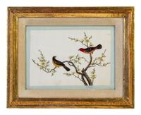 Seven Chinese Export Ornithological Scenes on Pith