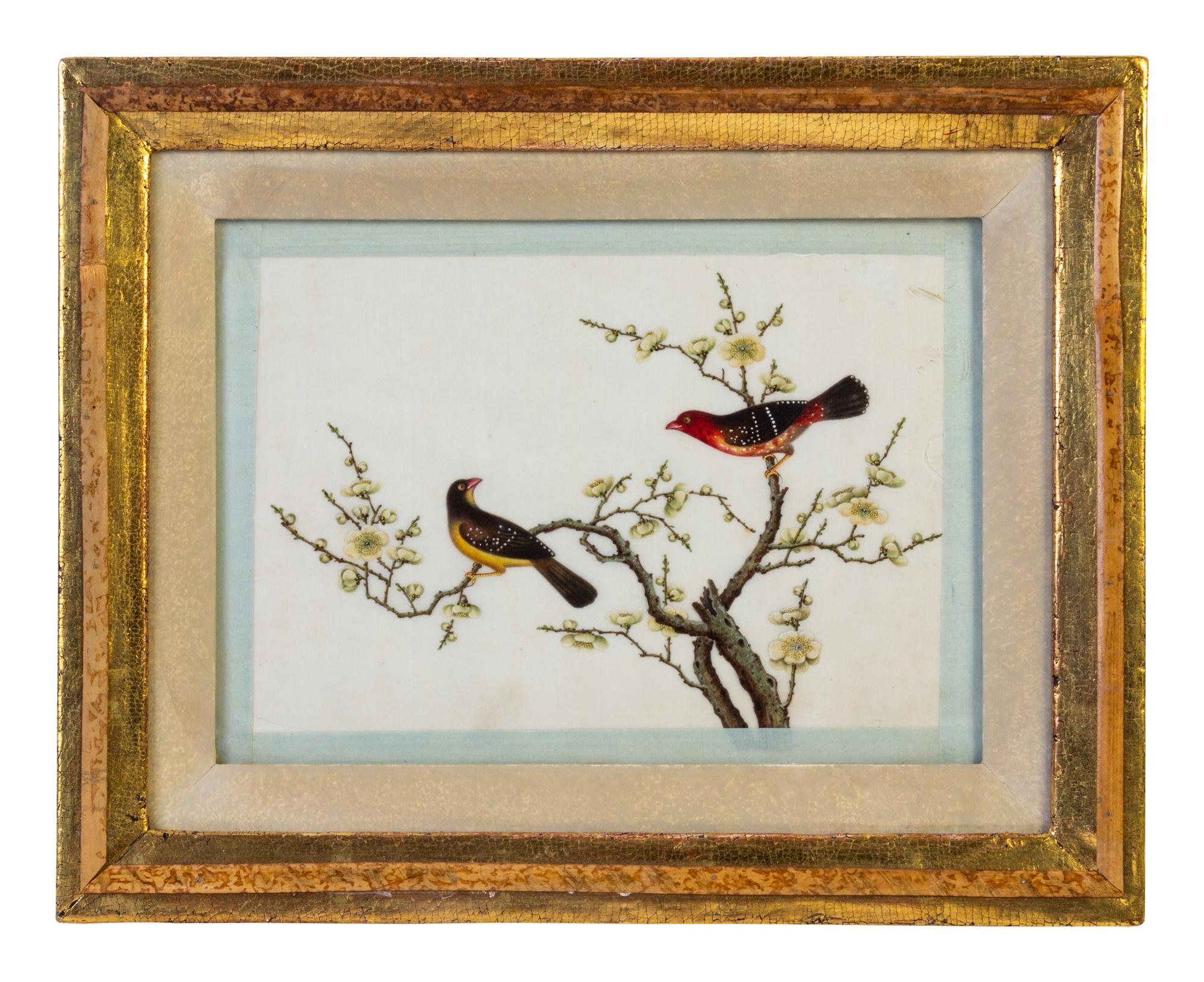 Seven Chinese Export Ornithological Scenes on Pith
