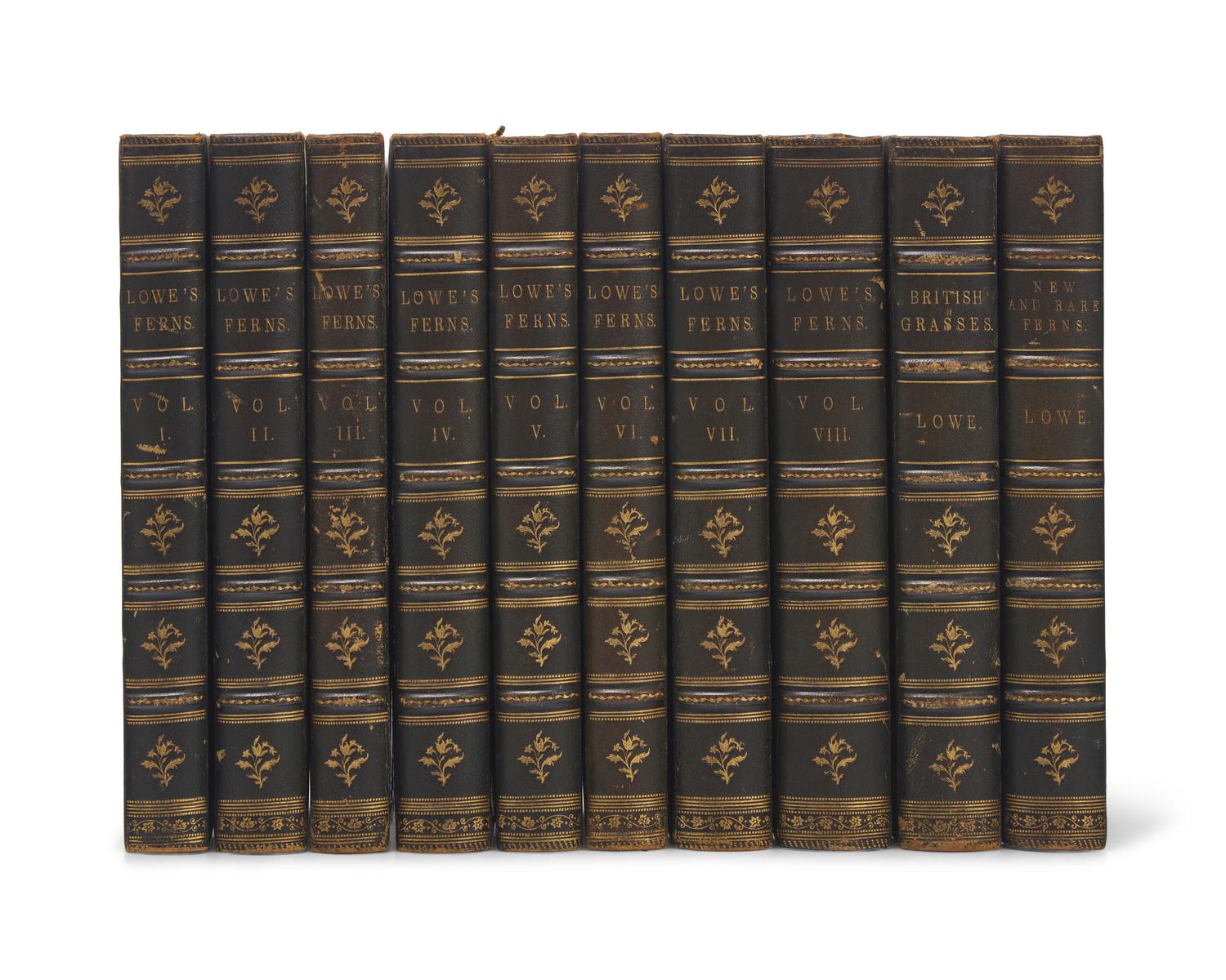 [Natural History] Lowe, E.J. Ferns: British and Exotic