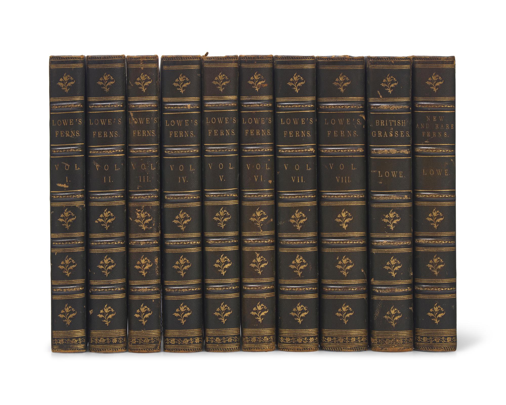 [Natural History] Lowe, E.J. Ferns: British and Exotic