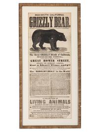 [WESTERN AMERICANA]. Mammoth California Grizzly Bear . Liverpool: S.A. Hurton, n.d.