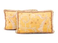 A Pair of Tapestry Pillows