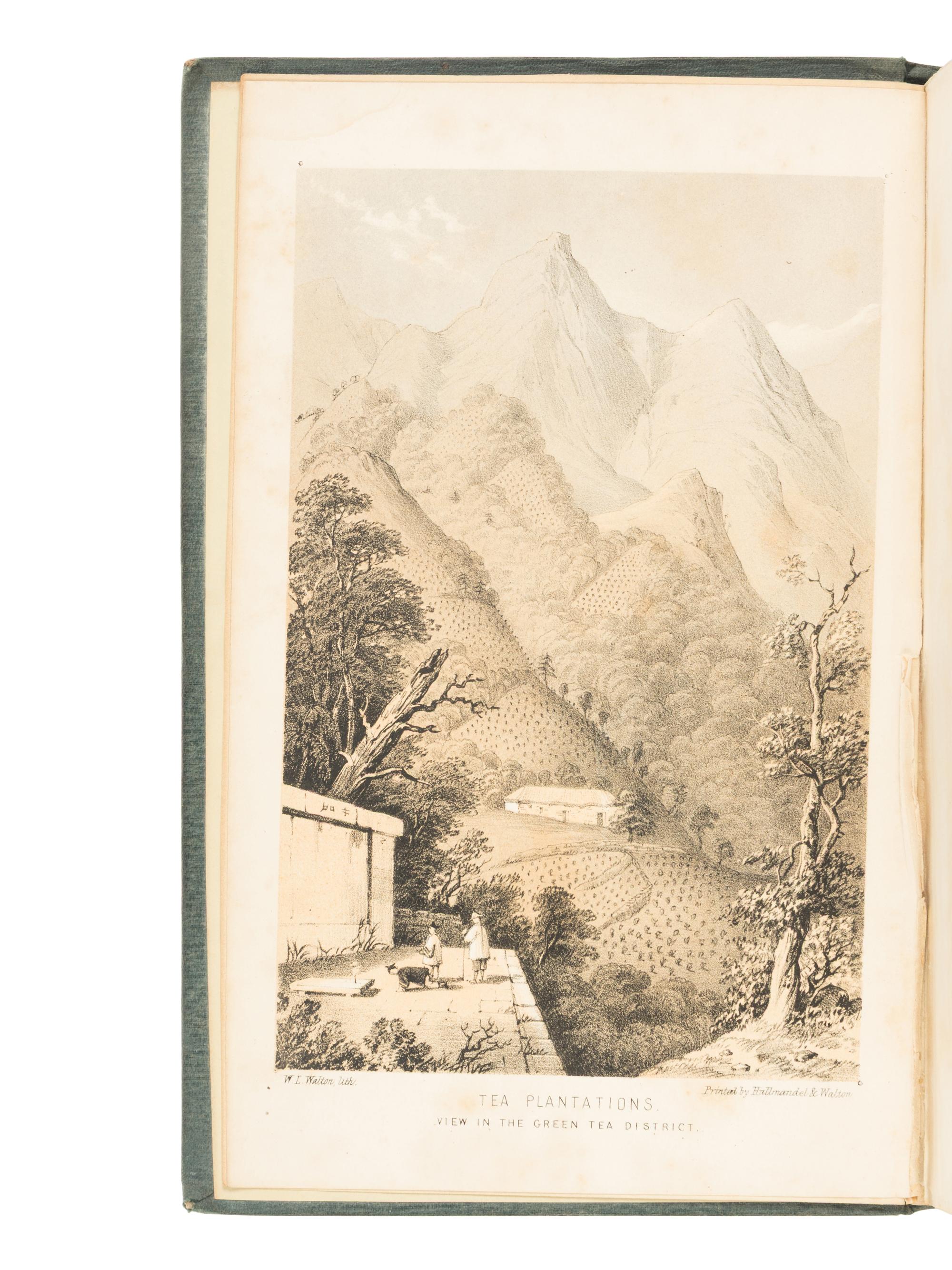FORTUNE, Robert (1812-1880). A Journey to the Tea Countries of China; including Sung-Lo and the Bohea Hills; with a short notice of the East India Company's tea plantations in the Himalaya Mountains . London: John Murray, 1852.