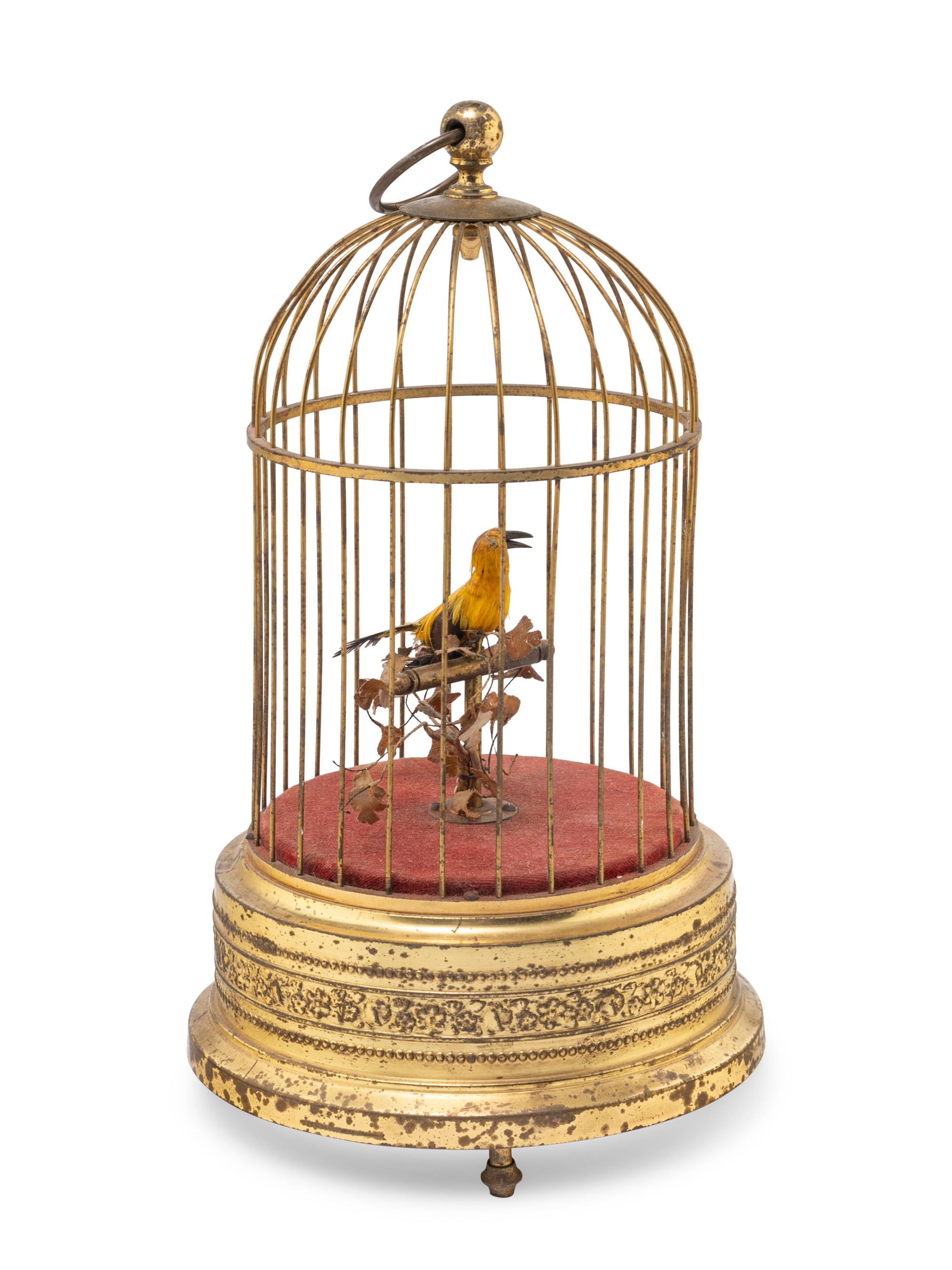 A Birdcage Automaton
