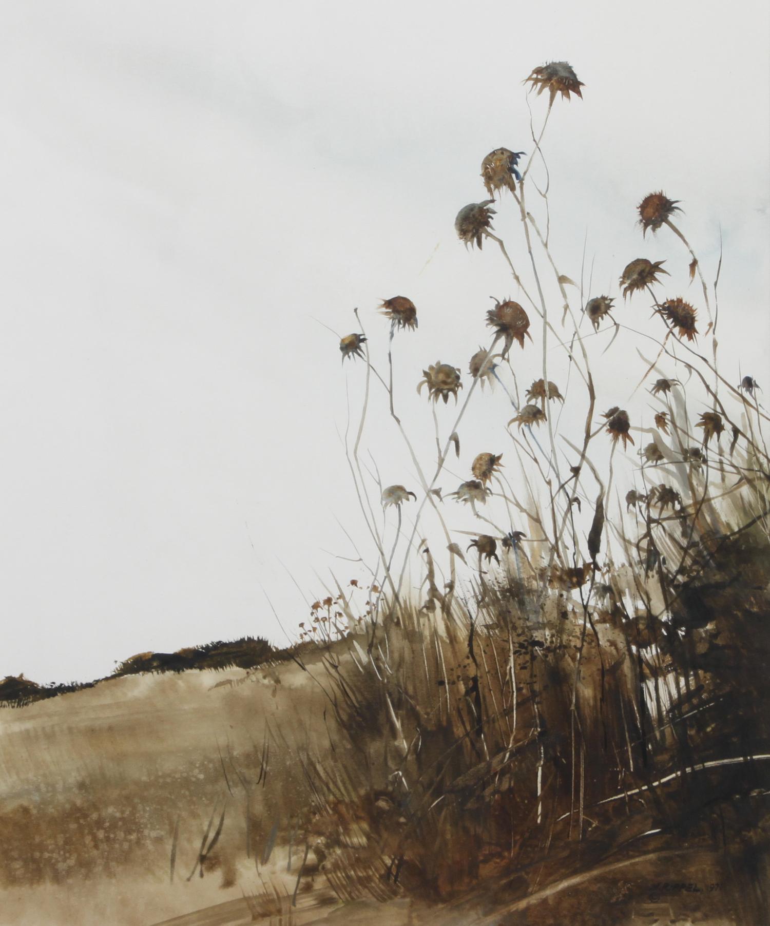 Morris Rippel, (American, 1930-2009), Untitled, 1971