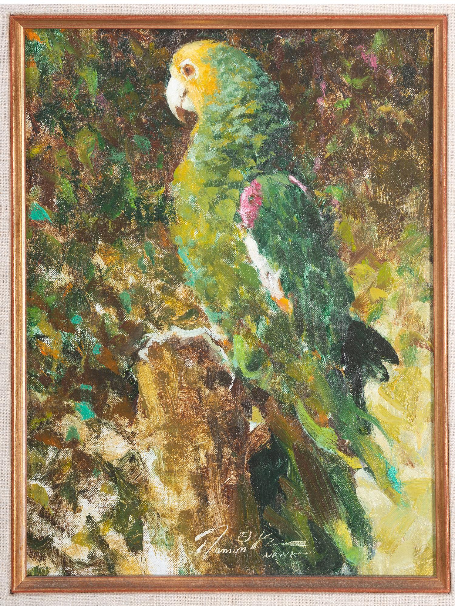 Parrot
