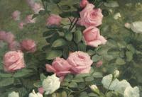 Roses, 1886