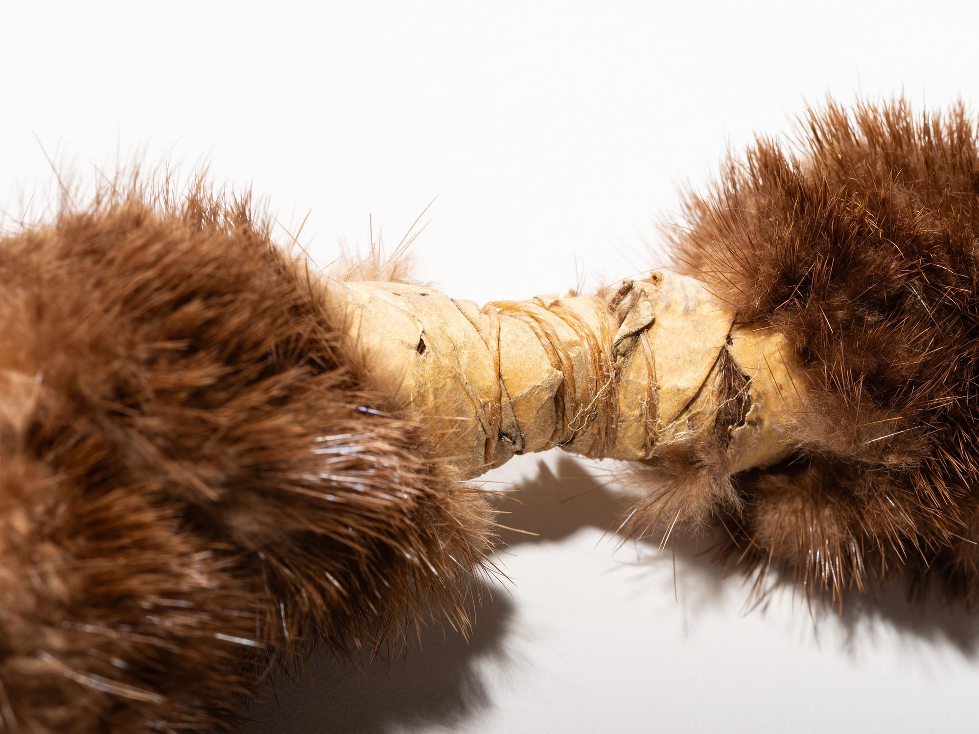 Plains Imitation Bear Claw Necklace