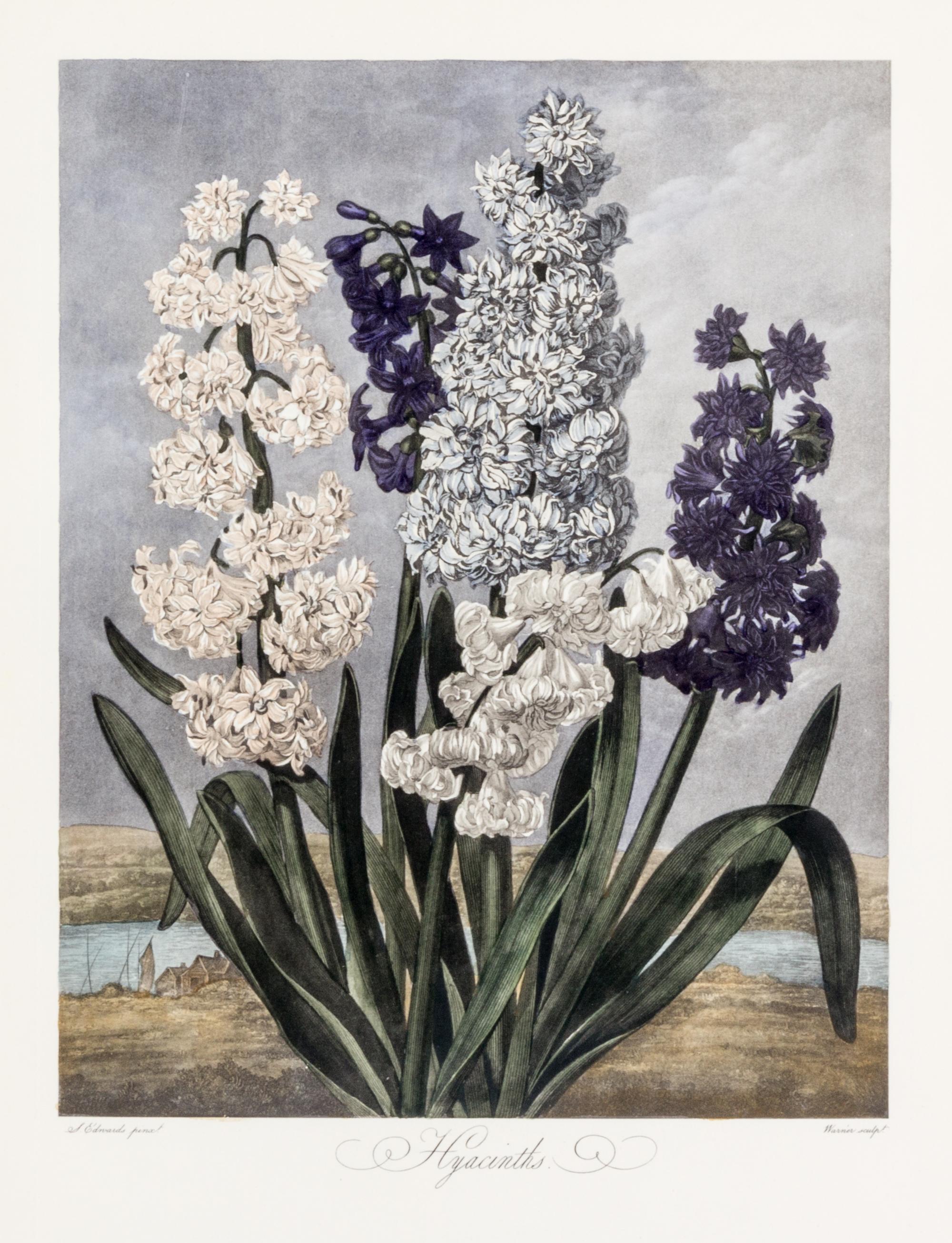 THORNTON, ROBERT, SIR. A group of eight color lithographs from the Temple of Flora, facsimile edition, circa 1951.