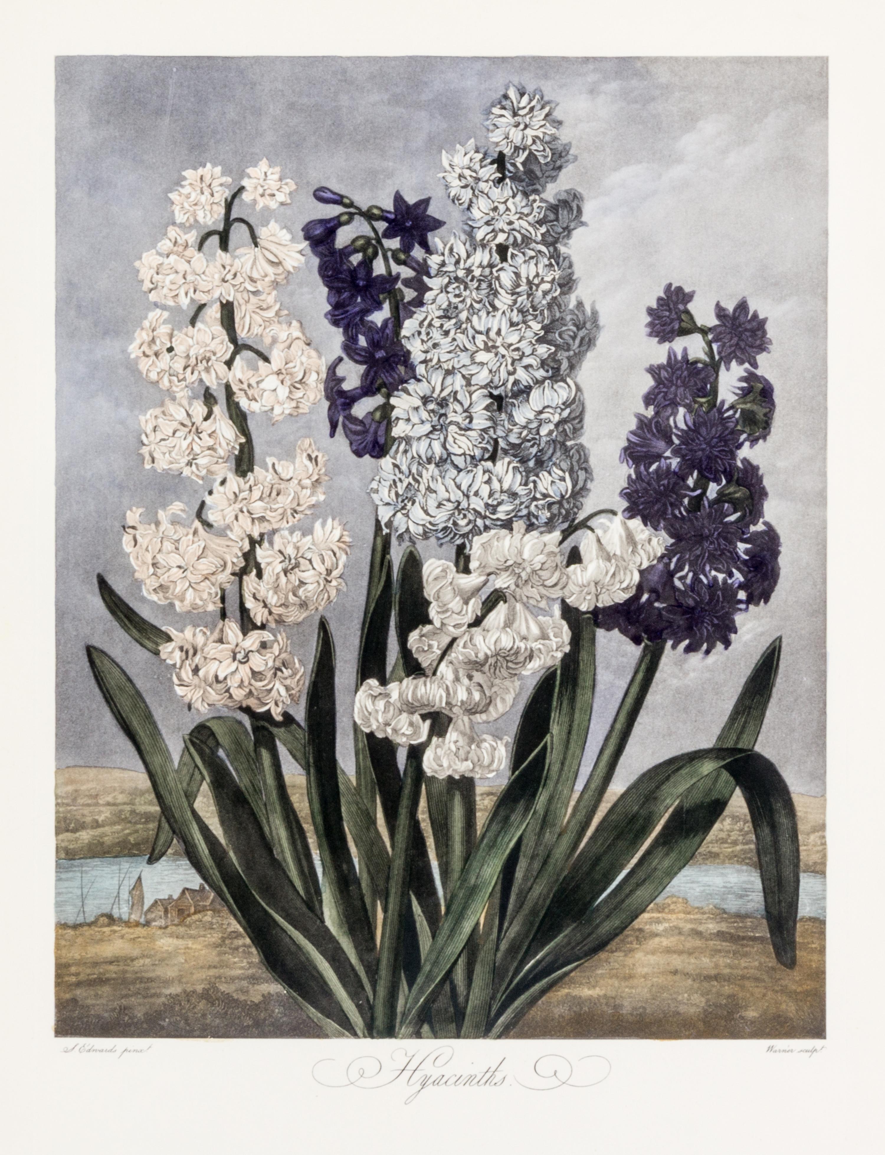 THORNTON, ROBERT, SIR. A group of eight color lithographs from the Temple of Flora, facsimile edition, circa 1951.