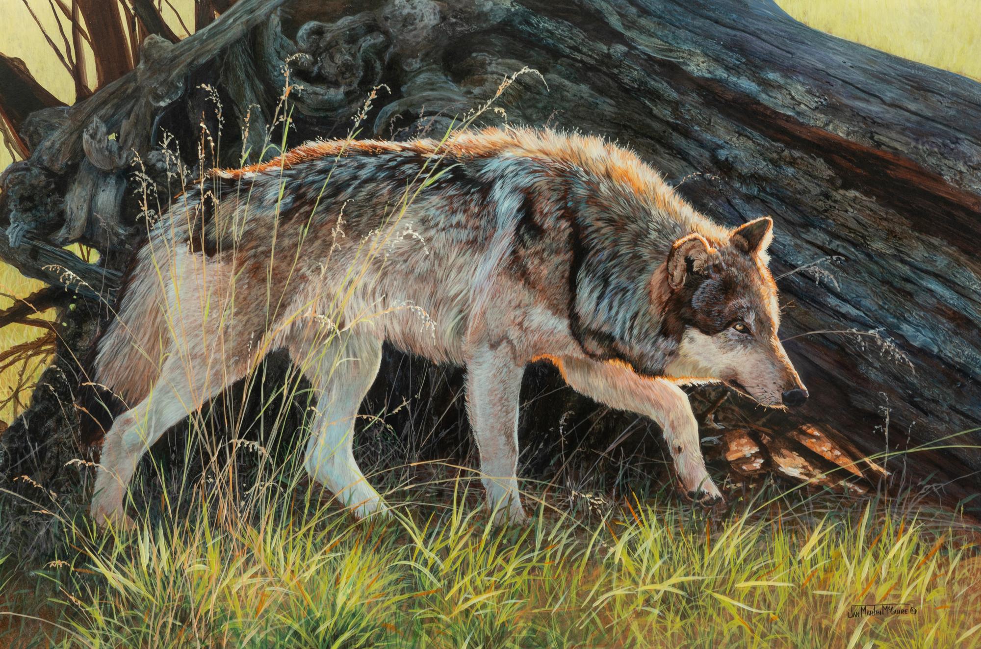 Morning Glow , 2009