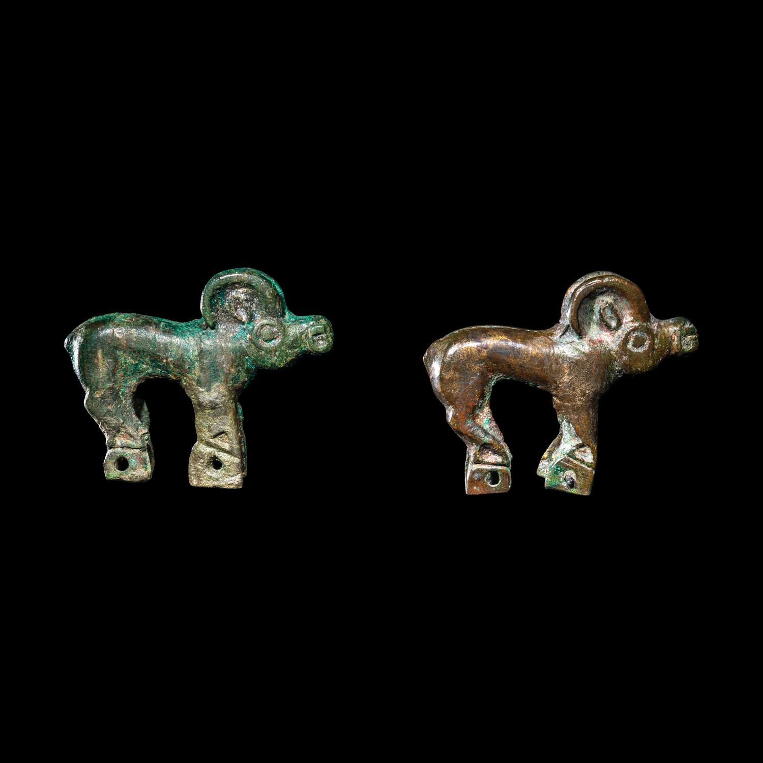 A Pair of Eurasian Bronze Ibexes