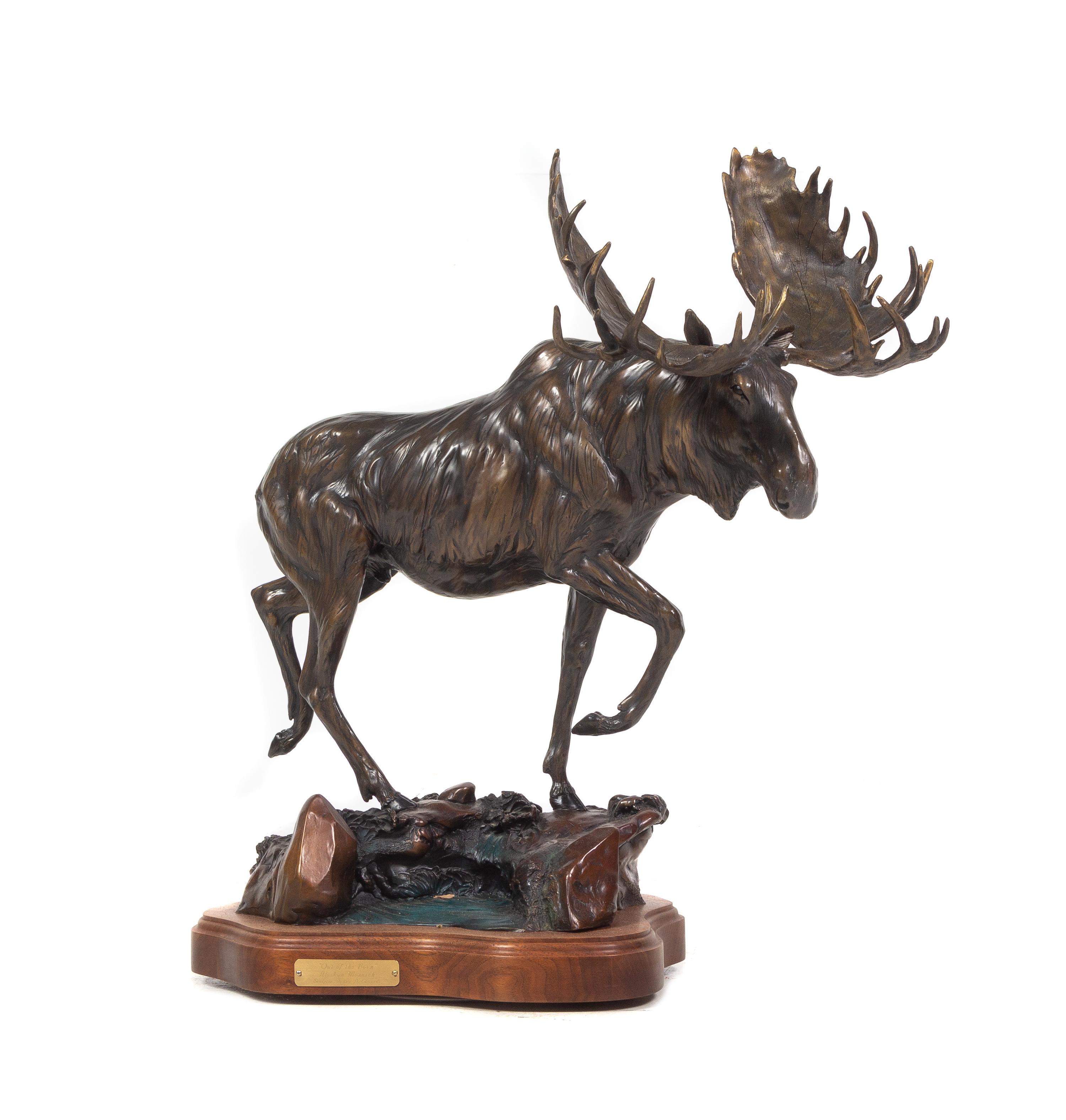 Out of the Burn, Alaskan Monarch, 1997