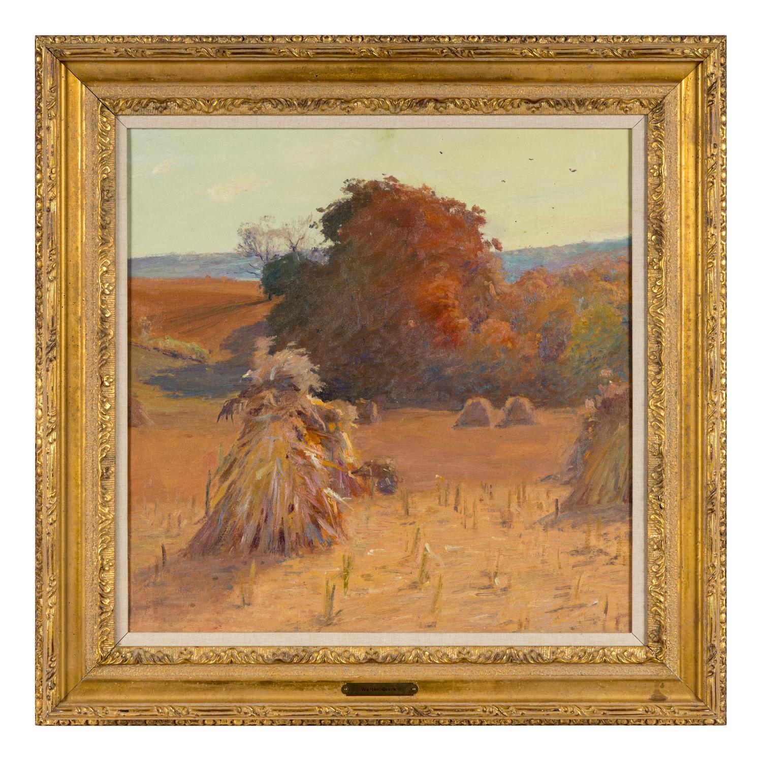 Cornshock (Saffron Sky)