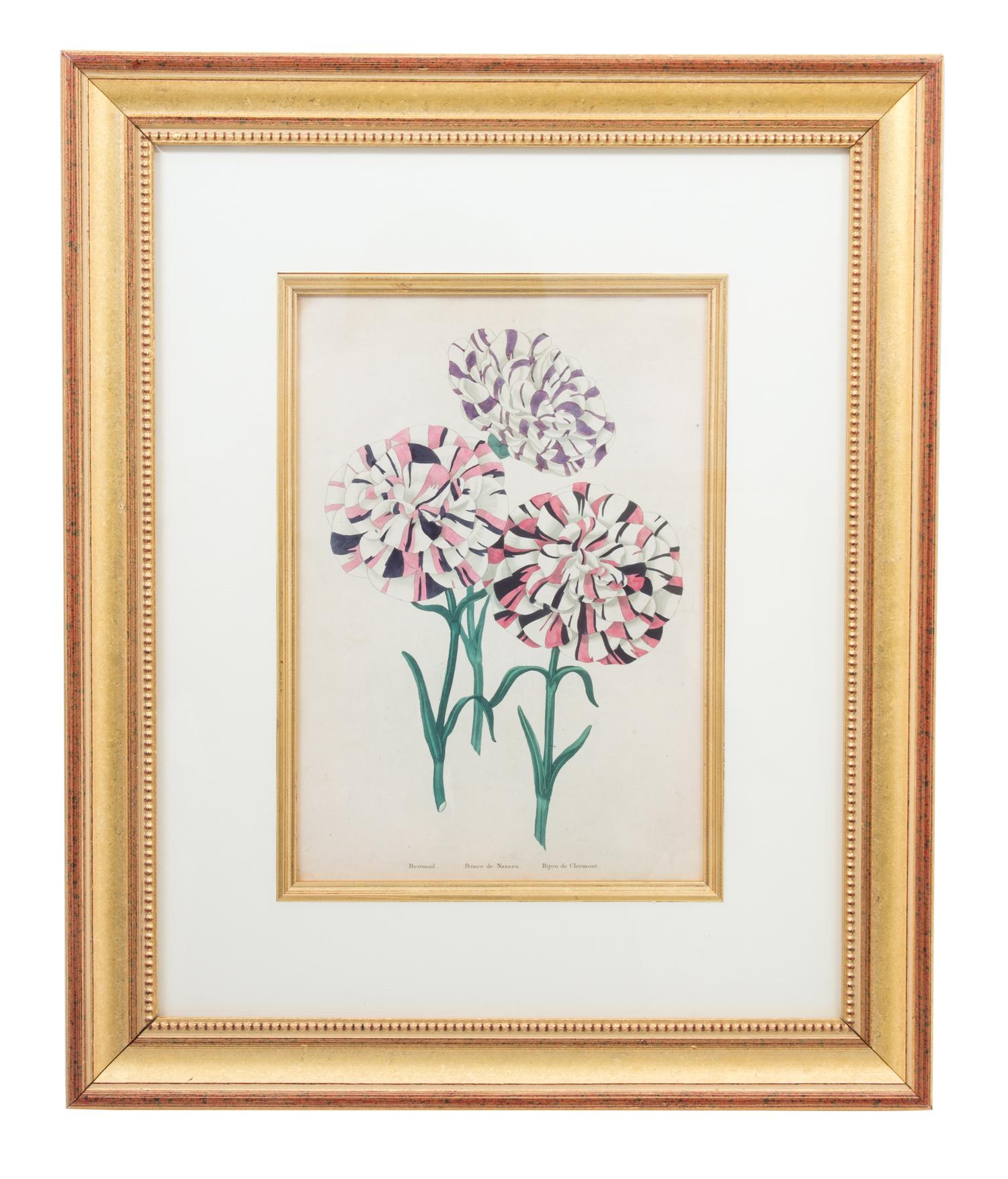 A Group of Four Hand-Colored Engravings from Sir John Paxton Framed 18 x 14 1/2 inches. — 19TH CENTURY
