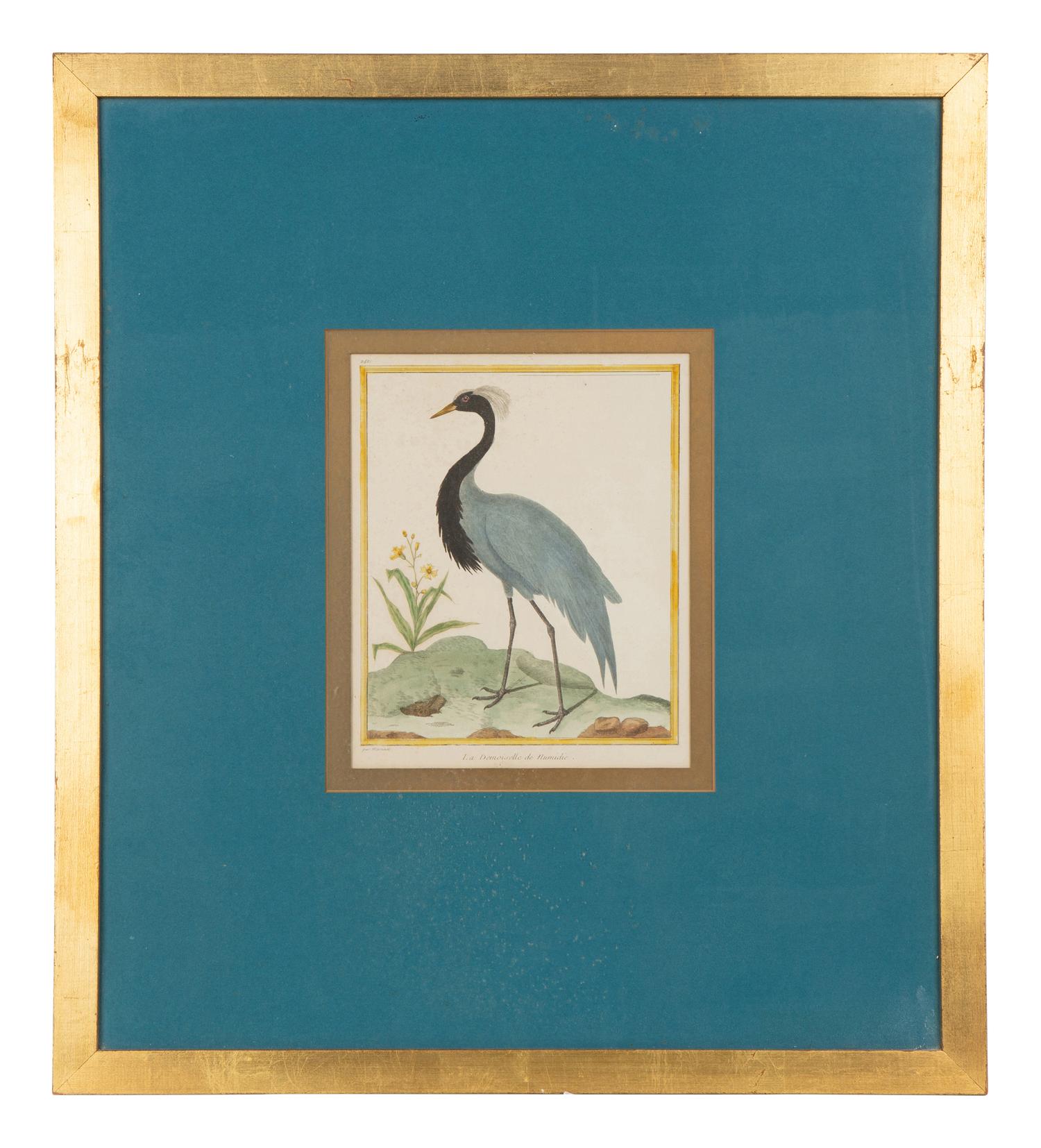Four Bird Prints after Francoise Martinet's Histoire Naturelle Des Oiseaux — 20TH CENTURY
