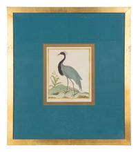 Four Bird Prints after Francoise Martinet's Histoire Naturelle Des Oiseaux — 20TH CENTURY