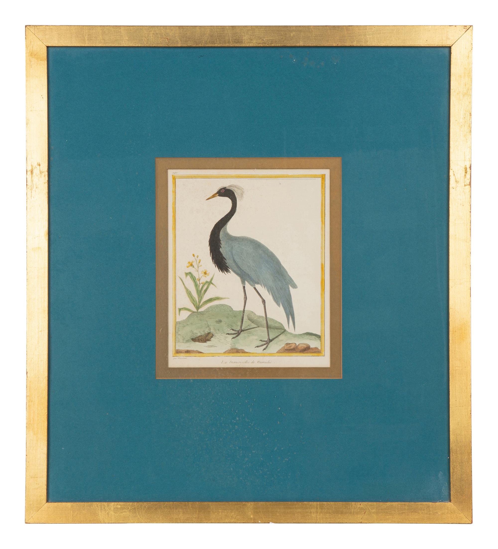 Four Bird Prints after Francoise Martinet's Histoire Naturelle Des Oiseaux — 20TH CENTURY