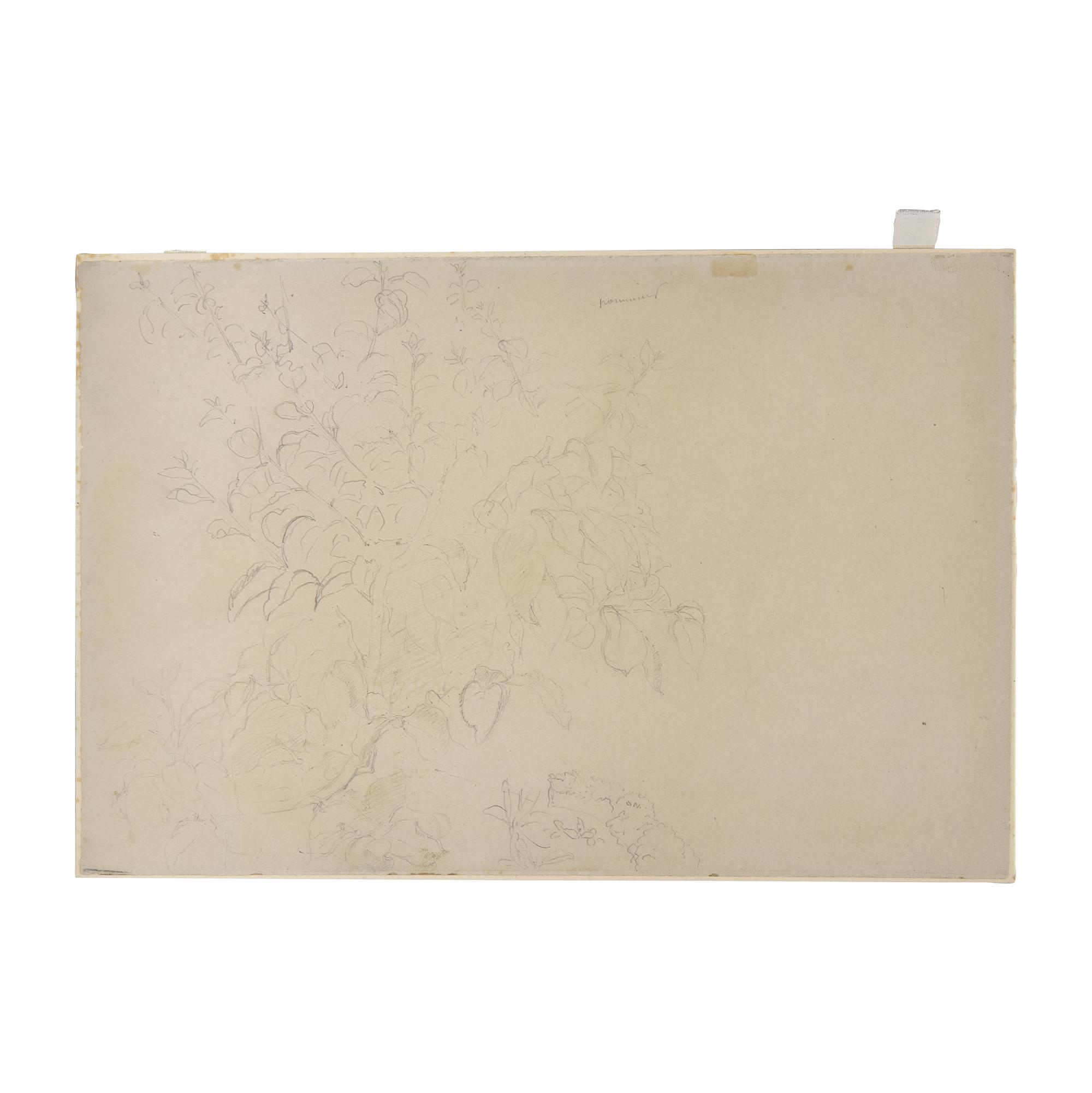 Camille Pissarro (French, 1830-1903) — Pommier