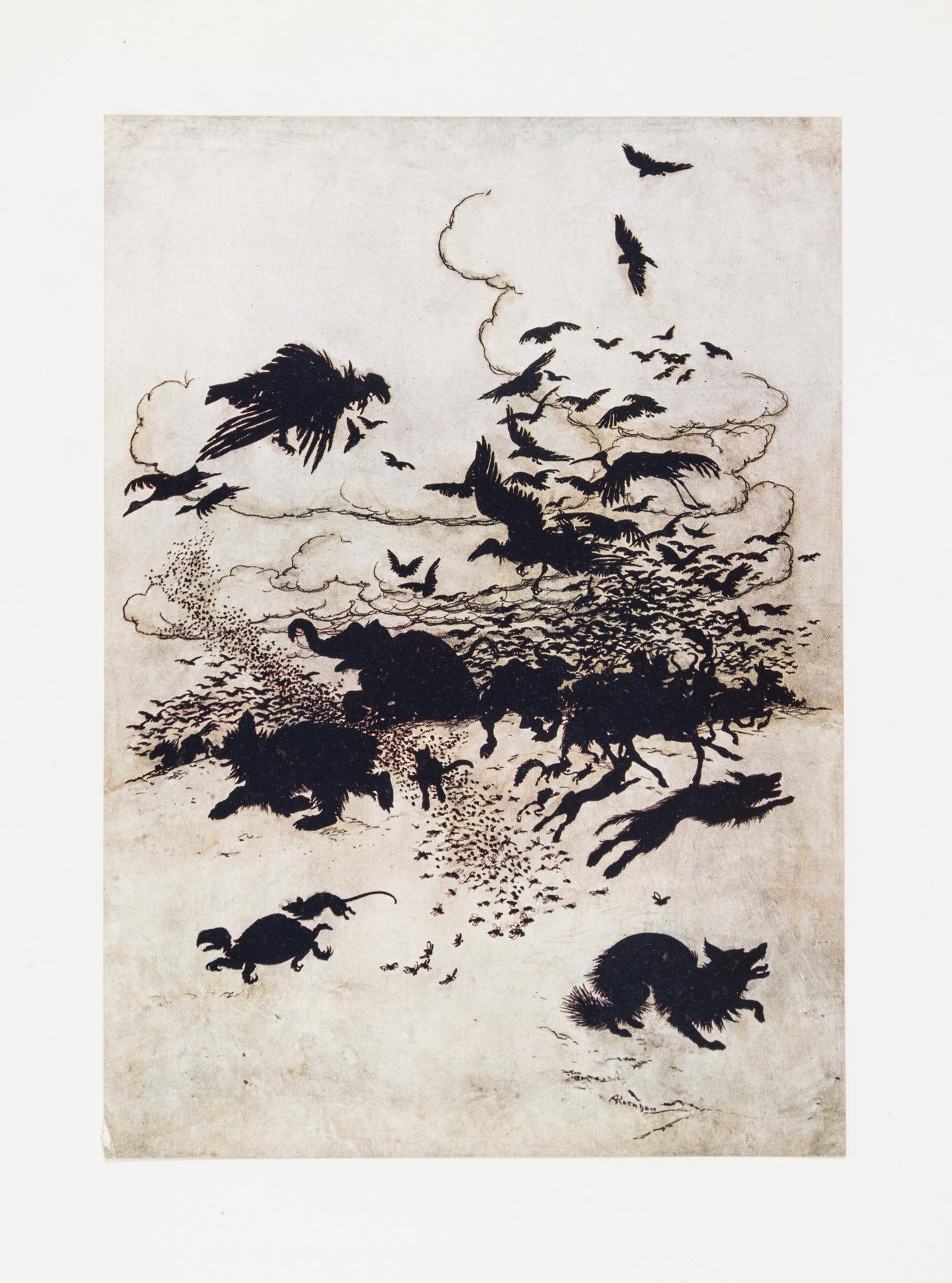 (RACKHAM, ARTHUR) GRIMM BROTHERS. The Fairy Tales of the Brothers Grimm. Limited, signed.