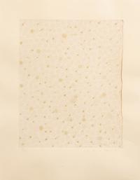 Flowers, Rain, Snow, and Wind - Rain on Paper