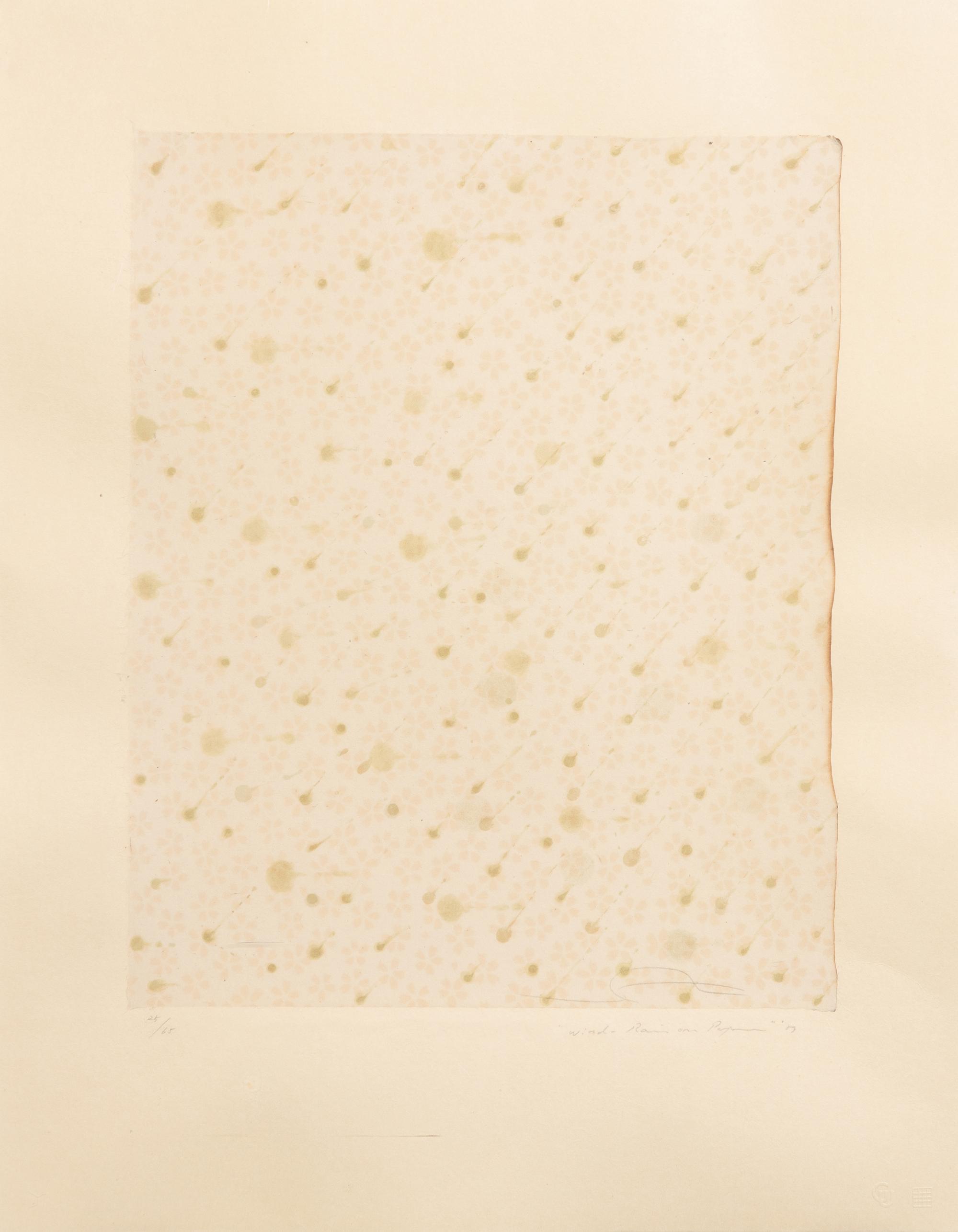 Flowers, Rain, Snow, and Wind - Rain on Paper