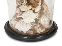 A Pair of Shell Dioramas with Glass Dust Domes