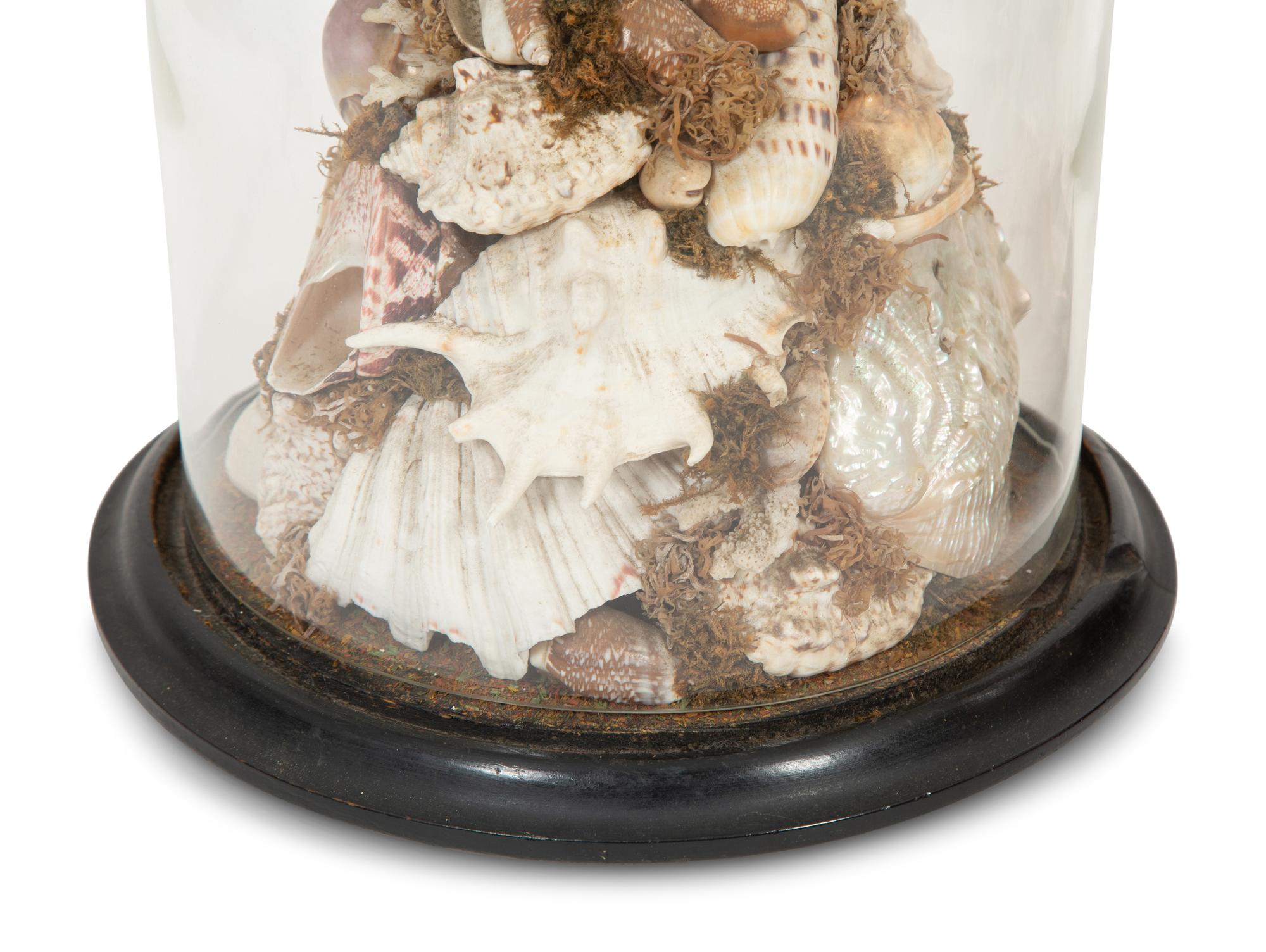 A Pair of Shell Dioramas with Glass Dust Domes