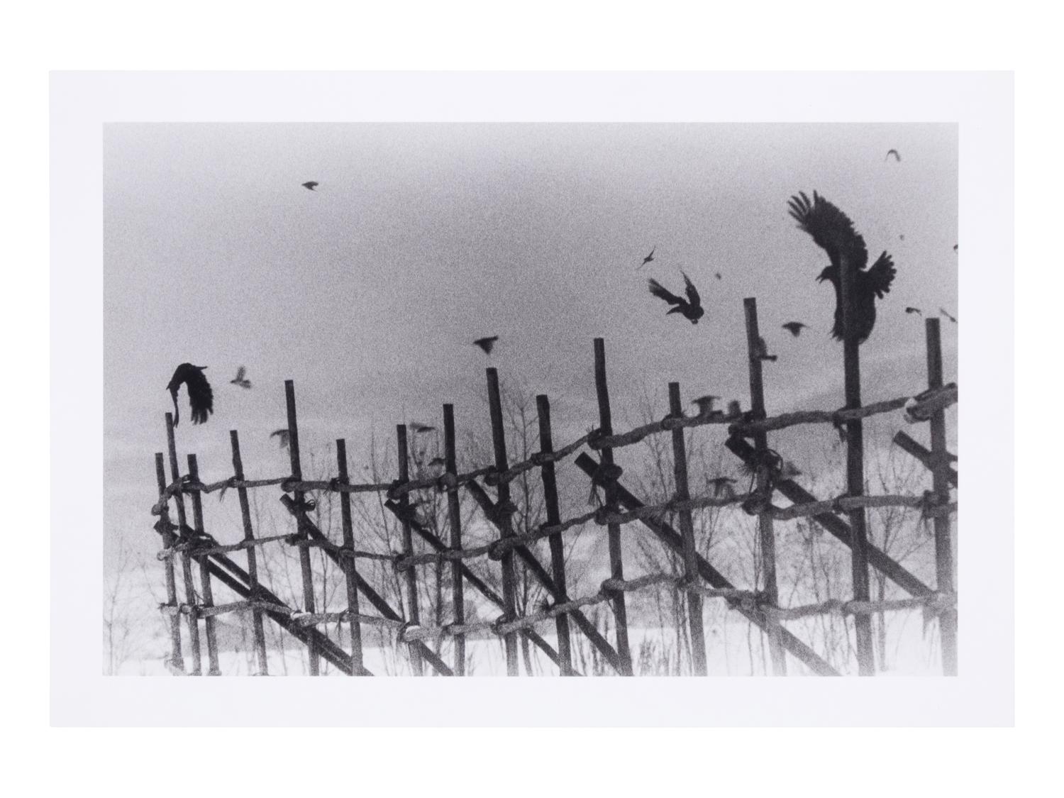 Nayoro, 1977 (from Modern Masters of Photography: Japan ); printed 2005