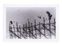 Nayoro, 1977 (from Modern Masters of Photography: Japan ); printed 2005