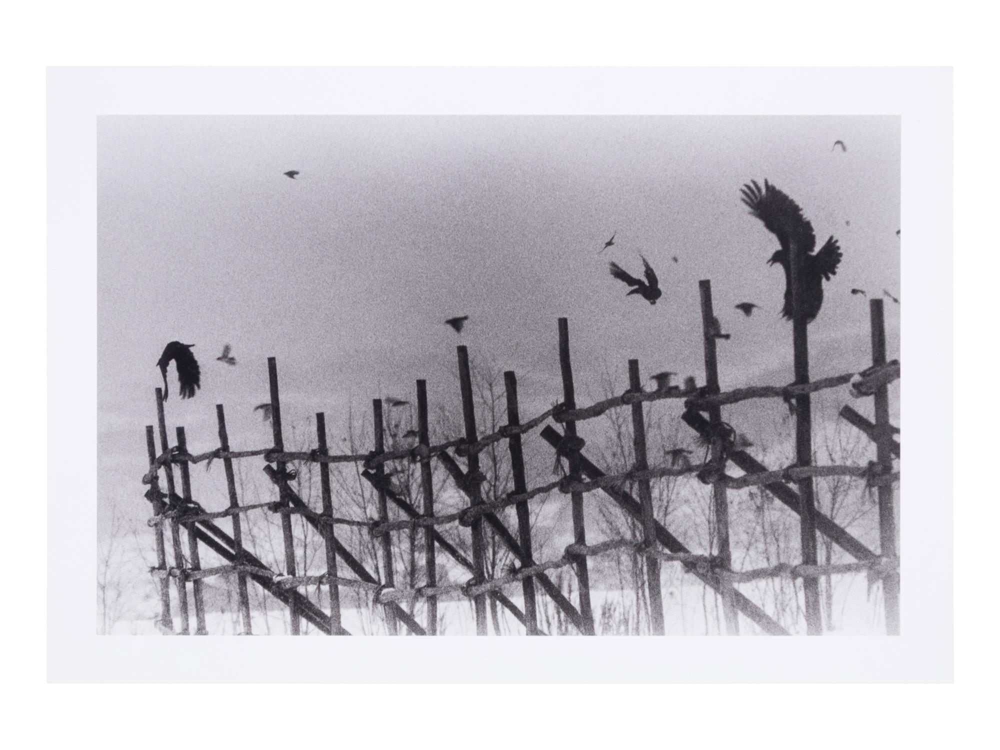 Nayoro, 1977 (from Modern Masters of Photography: Japan ); printed 2005