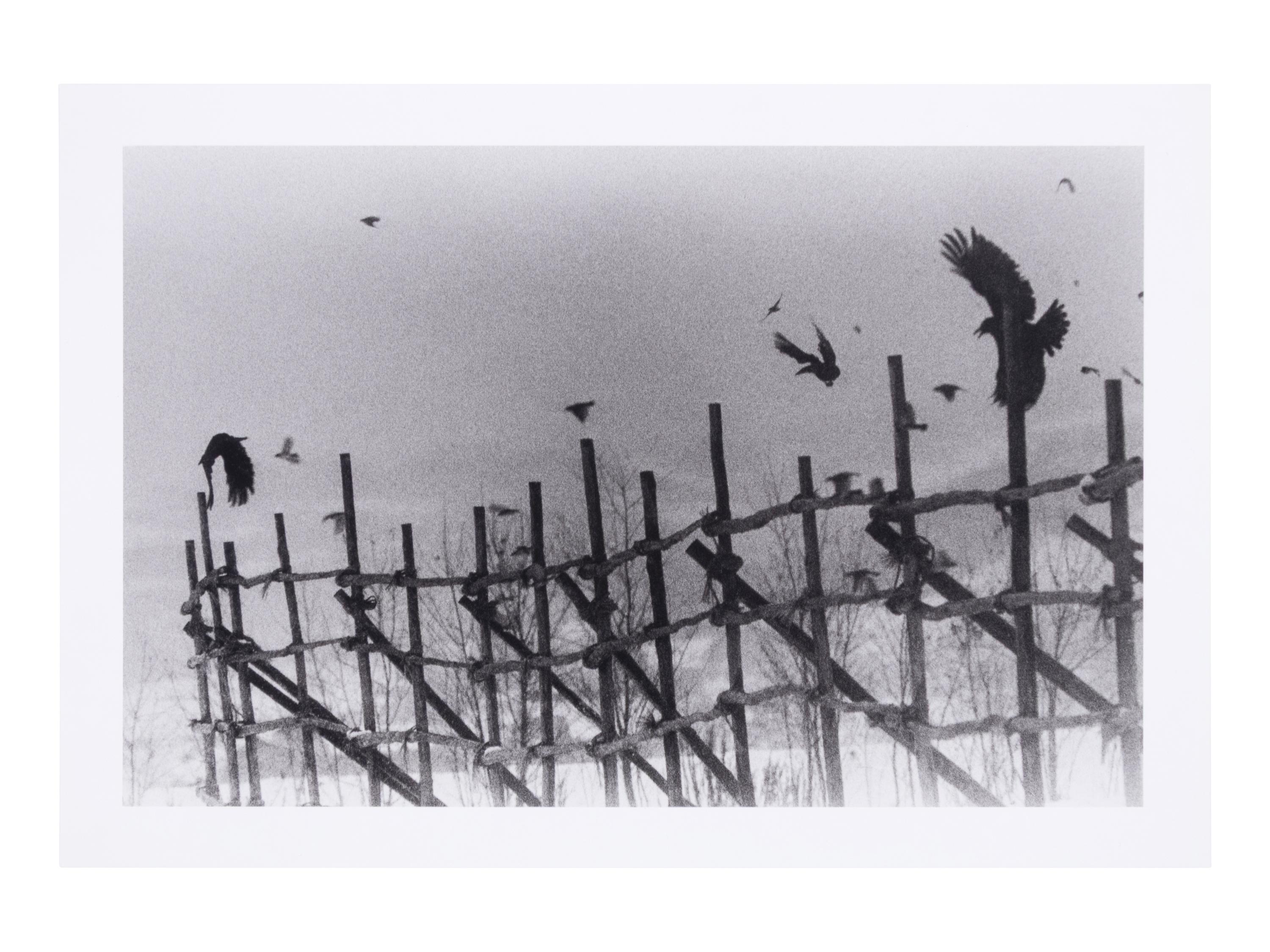Nayoro, 1977 (from Modern Masters of Photography: Japan ); printed 2005