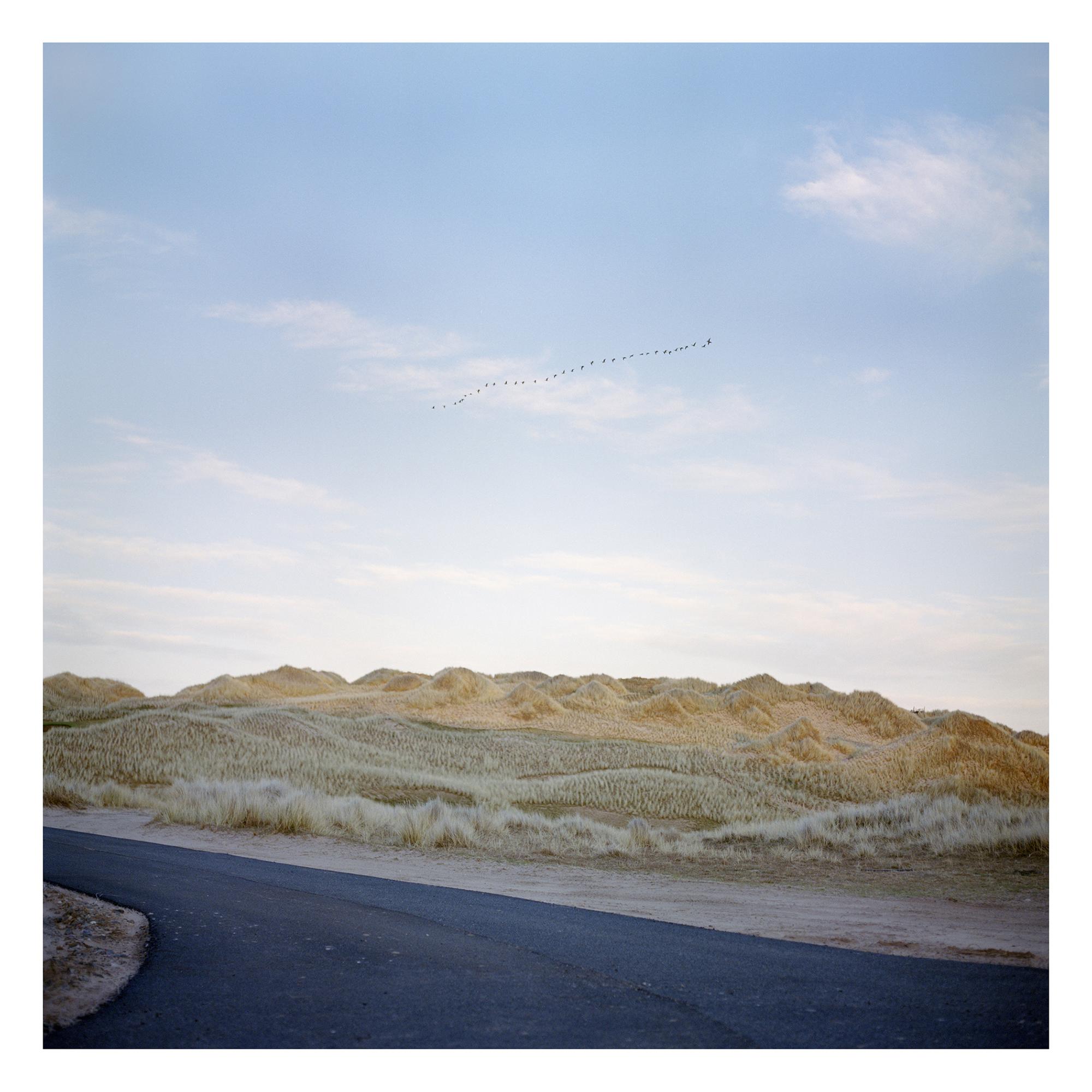 Birds Migrate Over a Once-Mobile Dune System Which Has Been Stabilized by Marram Grass Allegedly Planted by Local Schoolchildren Invited by Trump International Golf Links Scotland to a Nature Workshop in 2009, 2011