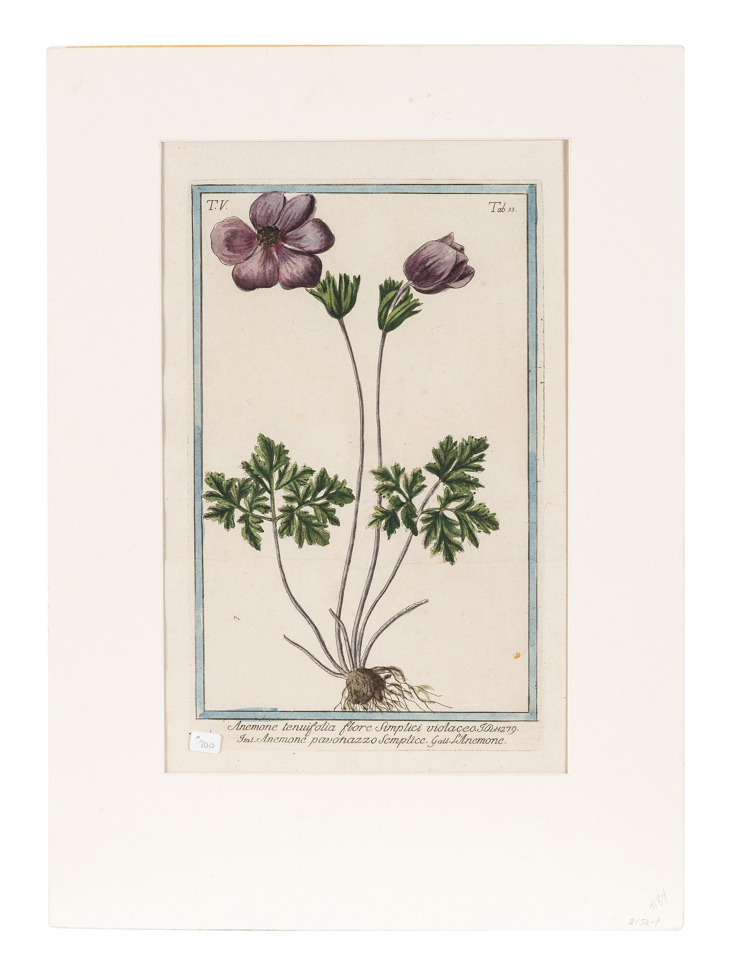 Giorgio Bonelli (Italian, 1724-1782)