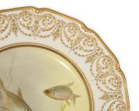 A Set of Twelve Royal Doulton Porcelain Ichthyological Plates