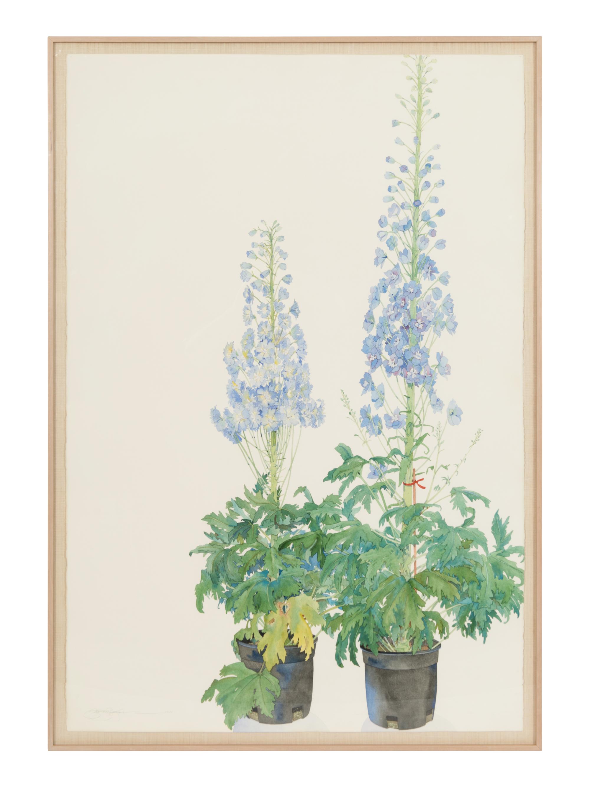 Delphinium, 1988