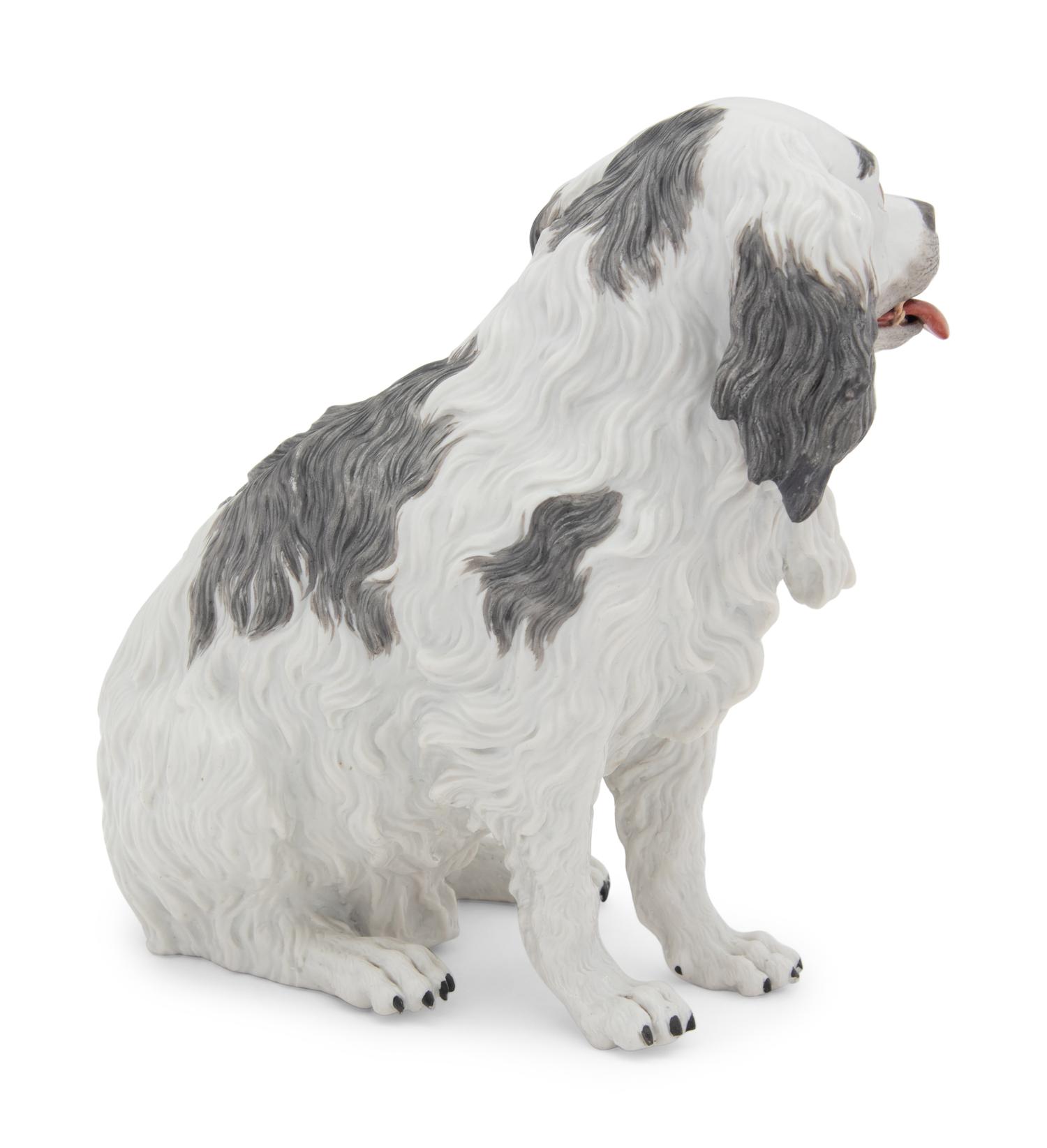 A Meissen Porcelain Bolognese Hound