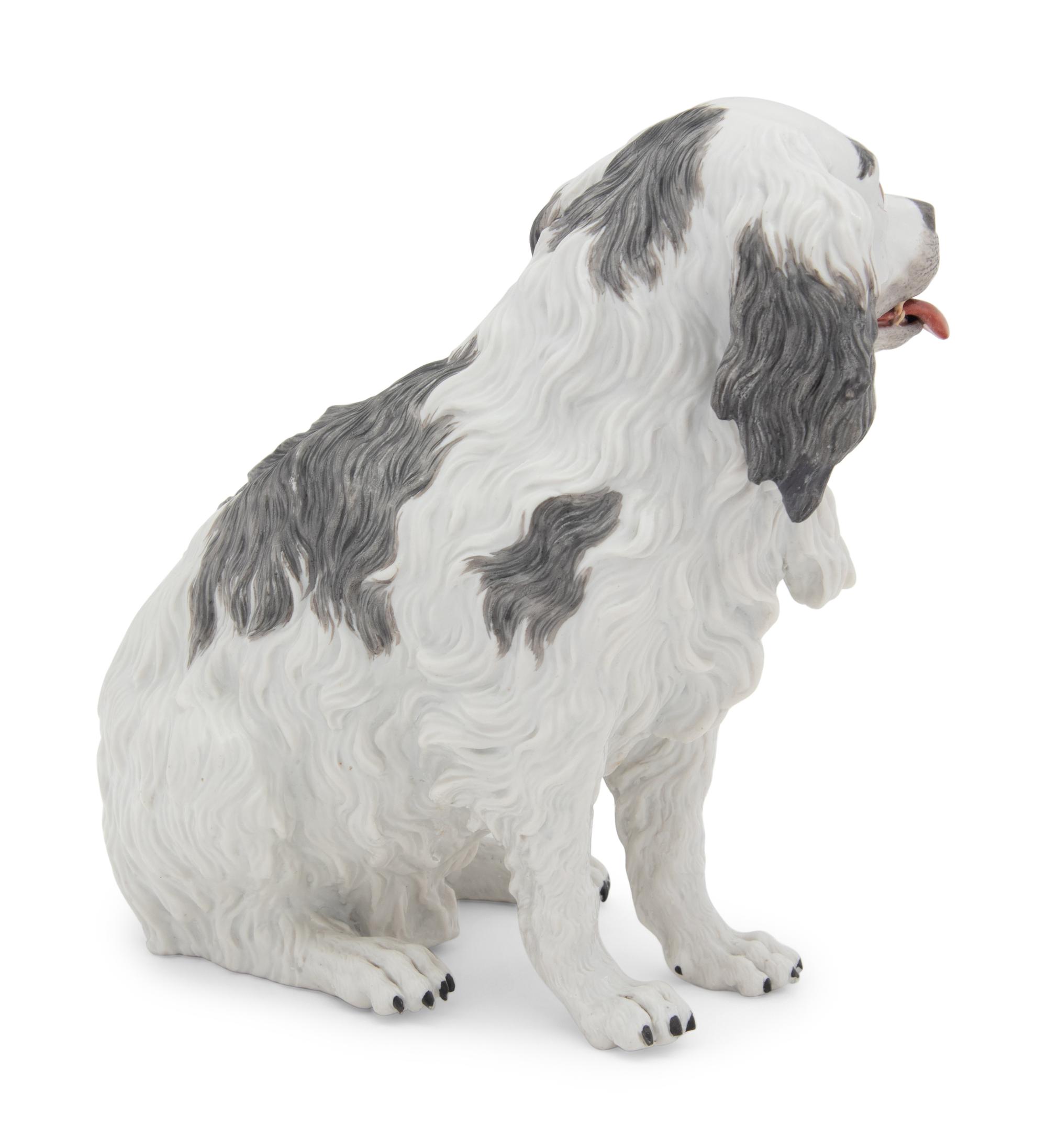 A Meissen Porcelain Bolognese Hound