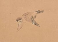 A Japanese "Sparrows and Flowers" six-fold screen, signed "Hokkyo Osei ga", Edo period 日本花鳥六開屏風 法橋應成寫 江戶