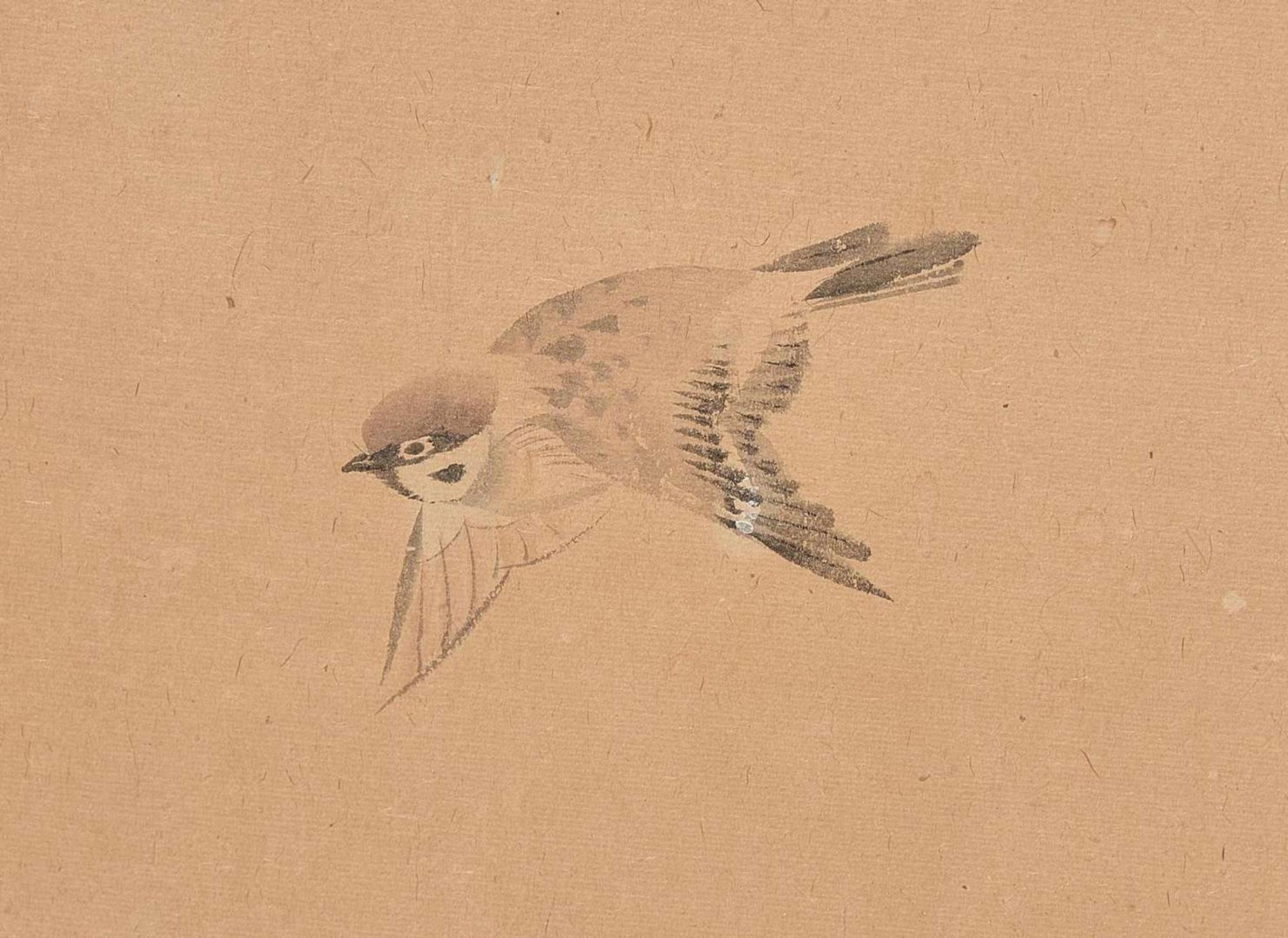 A Japanese "Sparrows and Flowers" six-fold screen, signed "Hokkyo Osei ga", Edo period 日本花鳥六開屏風 法橋應成寫 江戶