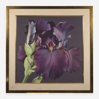 Lowell Nesbitt (American, 1933–1993) Purple Iris on Grey